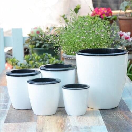 New Automatic Water-absorbing Flower Pots Bonsai Creative Multi-meat Plant Hydroponic Potted Large Plastic Flower Pots Wholesale