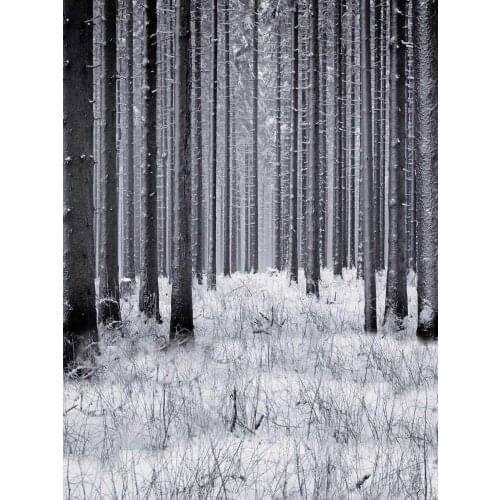 2020 winter snow forest photo background vinyl scenic picture photography backdrops for photo studio video taking props S-1831