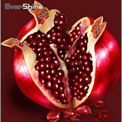 EverShine Diamond Embroidery Pomegranate Diamond Painting Full Square/round Rhinestones Diamond Mosaic Kit Handmade Wall Decor