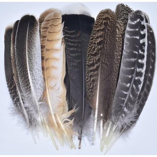 10Pcs/Lot Real Natural Eagle Feathers for Decoration Turkey Pheasant Feathers for Crafts Carnival Accessories Feather Decor DIY
