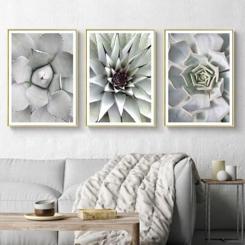 Tropical Plant Green Leaf Poster Print Succulent Wall Art Canvas Painting Nordic Picture for Living Room Modern Home Decor