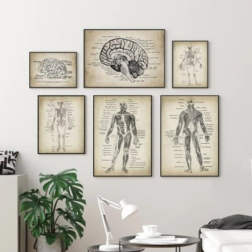 Human Anatomy Science Vintage Posters Art Prints , Medical Anatomy Canvas Painting Medical Doctor Clinic Wall Pictures Decor
