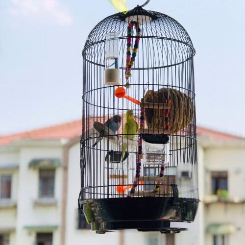 Free mail black and white large round birdcage thrush tiger skin peony parrot pearl metal cage hanging spillproof food box