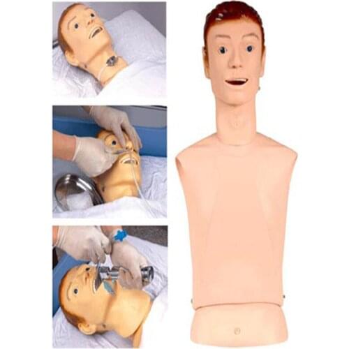 Nursing model of nasogastric feeding tube and trachea