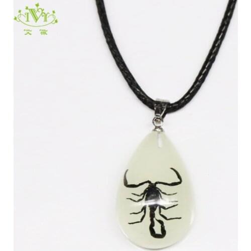 IVR Special Store