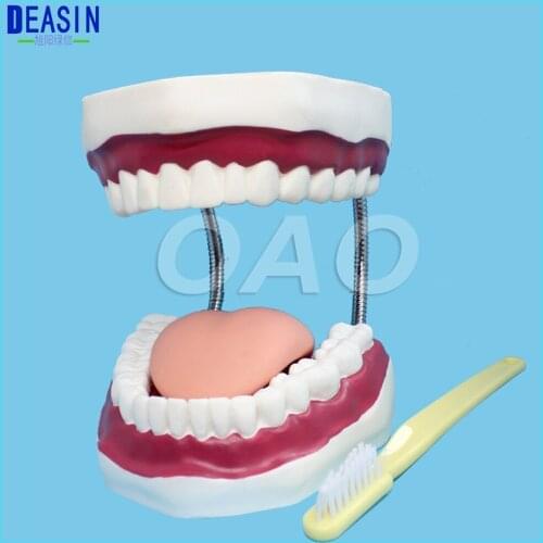 DEASIN 6 times Dental lab instrument for Tooth Care child kid Dental Teaching Study Model Adult Standard Typodont Demonstration