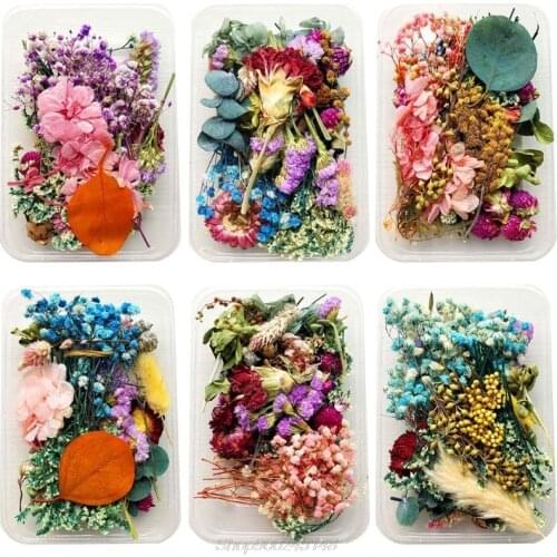 1Box Crystal Epoxy Filler Dry Flower Mixed Nail Stickers Decorations Resin Filling Material Jewelry Making Au11 20 Dropship