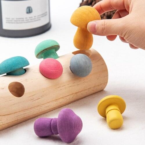 Wooden Rainbow Blocks Mushroom Picking Game Montessori Educational Wooden Toys for Toddlers Shape Matching Toys Wooden Toys