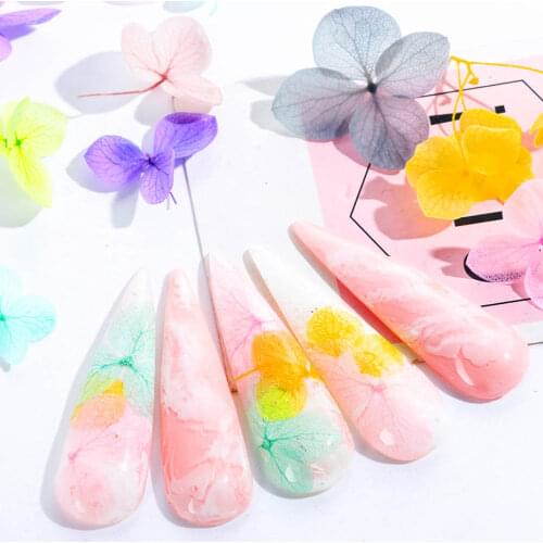 10/50/100PCS 3D Dried Flower Manicure Decoration Art Nail Natural Flower Sticker Decoration Mix Color Skill DIY Art Accessories