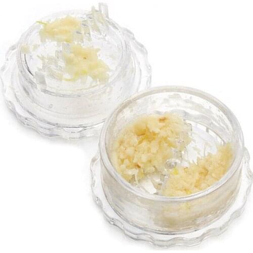 Garlic Press Garlic Box Manual Mashed Garlic Manually Processor Food Chopper Fruit Slicer Twist Prevent Tears Kitchen Crusher