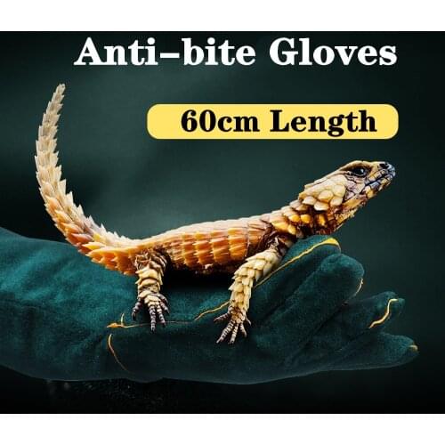23.6In Animal Handling Gloves Bite Proof Reinforced Leather Padding For Dog Cat Scratch Bird Handling Gloves Reptile Snake Bite