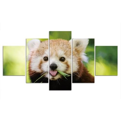 5 Piece Bear Paintings Canvas Animal Pictures Home Decor Wall Art Poster Framework Home Decor