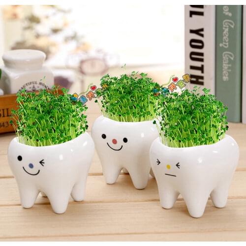 Cute Tooth Pot Vase Creative Ceramic Cartoon Tooth Flower Pot Succulent Flower Pot Home Decoration Crafts Dental Clinic Gift Toy