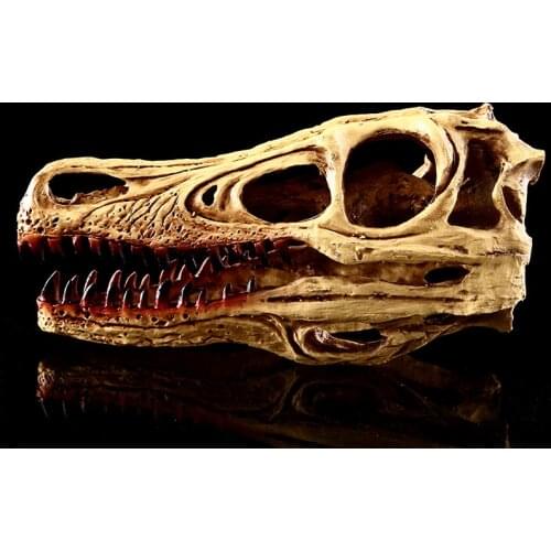 Moquerry Raptor Dinosaur Skull Model Resin Skull Replica Head Model Skeleton Collection Resin Skull Home Decor Halloween