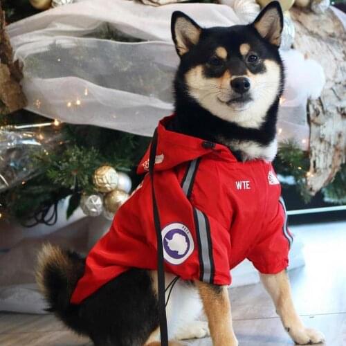 Dog Clothes Coat Jackets Winter Outdoor Windproof Shirt Dog Windbreaker Sport Retro Pet Clothes For Small Dog Bug Ropa Perro