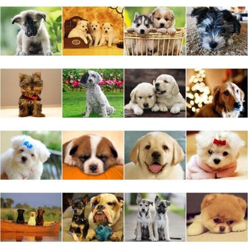 Warm Puppy Diamond Painting Cute Animal Home Decoration Wall Pictures for The Living Room Handmade DIY Paste Drill Embroidery