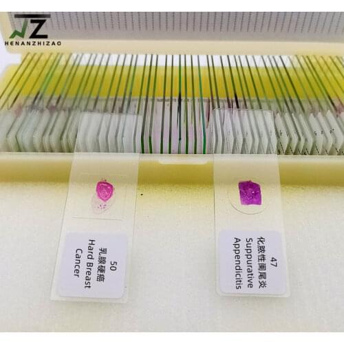 50pcs Human Pathology microscope prepared slides set
