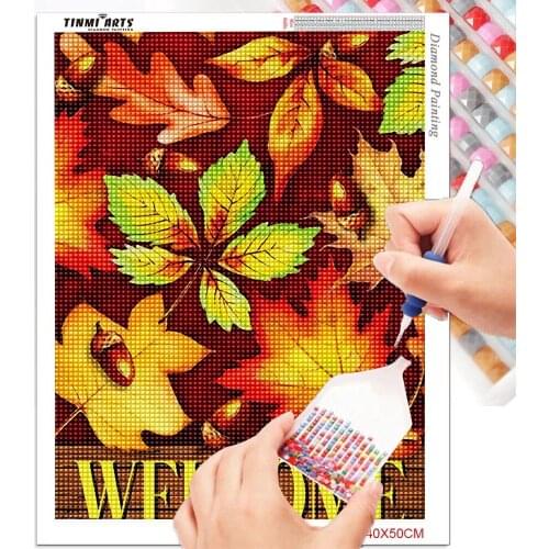5D Diamond Painting Cross Stitch Embroidery Craft Accessory Diamond Painting Kits Home Decor With AB Drill
