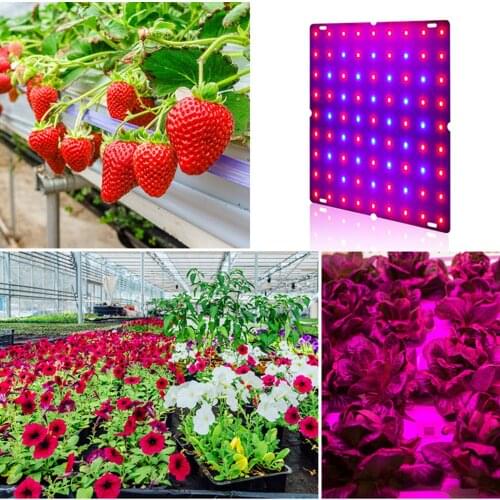 Indoor Plant Growth LED Light Promote Photosynthesisfor Germination Seedling Plant Growth and Flowering. UD88