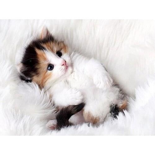 Animal Cat DIY Cross Stitch Embroidery 11CT Kits Craft Set Printed Canvas Cotton Thread Home Decoration Hot Sell Dropshipping