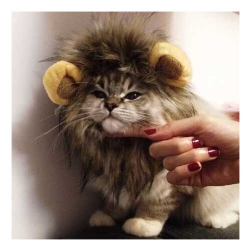 Dog Cat Lion Mane Wig Puppy Kitten Cosplay Hairwear Hats Halloween Costume Fancy Dress Up with Ears