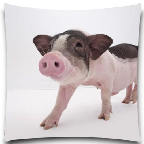 Animals pig Square 45*45 cm creative pillow case office Wedding bedding couch Vintage home decorative 5 size 9 style