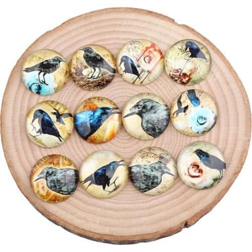 Onwear mix crow photo round flatback glass cabochon 30mm 25mm 20mm 18mm 14mm 12mm diy jewelry accessories for pendants earrings