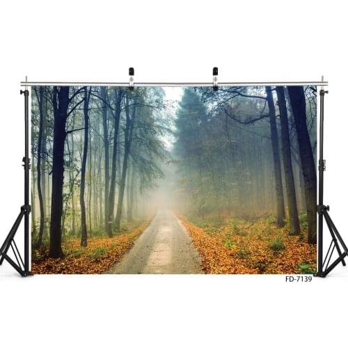 Autumn Forest Trail Photography Backgrounds For Photo Studio Props Children Portrait Dolls Computer Printed Backdrops Photobooth