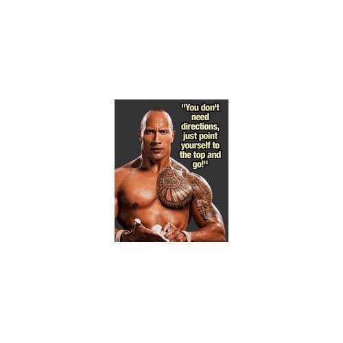 More Style Choose DWAYNE JOHNSON THE ROCK INSPIRATIONAL QUOTE Film Print Silk Poster for Your Home Wall Decor 24x36inch
