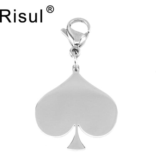 Risul Stainless steel Dog Tag Dogs Collar Heart Pendants Charms DIY Dog Pet puppy Pendants Tags both mirror sides 10 units