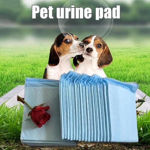 20/40/50/100Pcs Disposable Dog Pees Pads Pet Dog Disposable Diapers Non Woven Absorbent Deodorization Dog Training Pees Pads