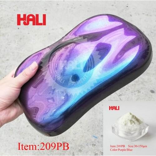 [209PB] Chameleon pigment,Nail Glitter Pearl Powder Set Nail Art Glitters Kit Manicure Tips Decoration,Automotive Crafts,10g