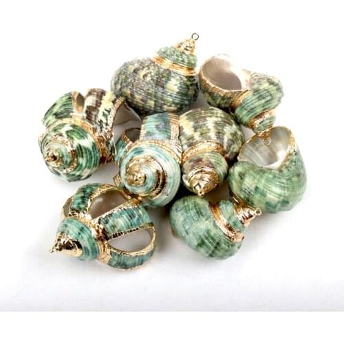 Gold Plated Natural Green Spiral Sea Shells for DIY handmade charms Jewelry Craft Decoration 5pcs 20-30mm