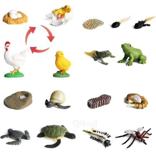 4Pcs Simulation Animal Model Child Mini Animal Rooster Ant Frog Turtle Mosquito Growth Cycle PVC Action Figures Doll toy for Kid