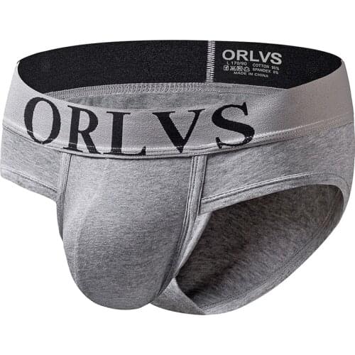 2020 ORLVS Brand Mesh Men Briefs Underwear Sexy Breathable Underpants Cotton Comfortable Mens Briefs Underwear Shorts OR127