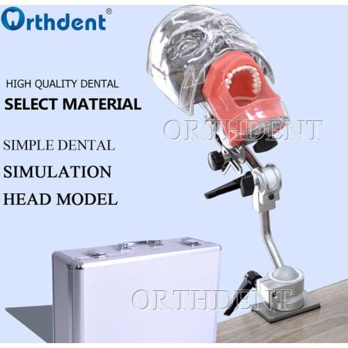 Dental phantom Simple Simulation Exercise Head Model with new style bench mount for Teeth Model Training Simulator