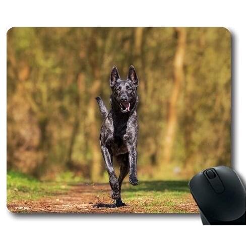 Dogs puppies pets Mouse Pads,Herder Action Dog Animal Dog Plays Pet Photography,dogs mouse mat