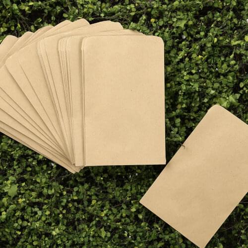 50Pcs Mini Vintage Kraft Paper Bags Hybrid Seed Corn Farm Pollen Bag Seed Packets Sack Pouch for Flowers Plant Kraft Paper Bags