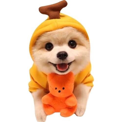 Pet Clothes Hoodie Coat Winter Sweater Polyester Cute Stylish Sweatershirt for Dog Cat Small Medium Pets WXV Sale
