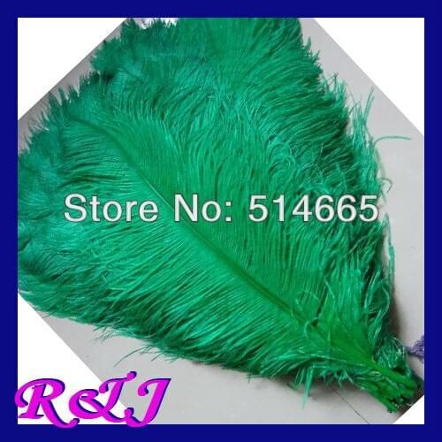 EMS Free shipping 50PCS 60-65cm 24-26 inches GREEN natural OSTRICH FEATHER real ostrich plumage ostrich plumes