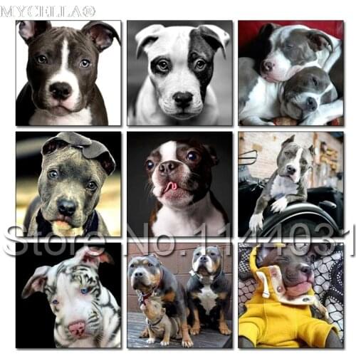 Animal Diy Diamond Painting Cross Stitch Dog Diamond Mosaic Rhinestone Home Decoration Bulldog & Boxer Full Diamond Embroidery