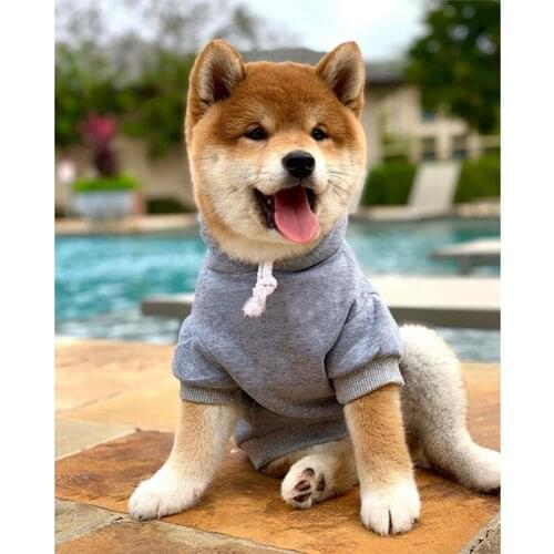 Letter Print Cotton French Bulldog Hoodies for Pug Cosutme S-2XL PC1424