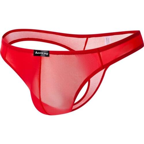 2020 Howe Ray Sexy Thong Bikini Gay Underwear Ice Silk T Back Mens G Strings Siwmwear Penis Pouch Lingerie Men Micro Bikini