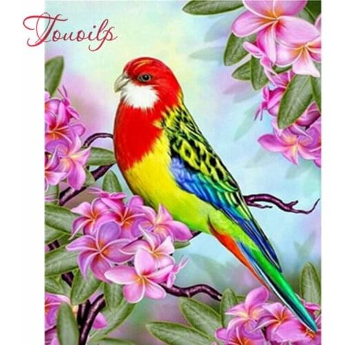 5D DIY diamond Painting birds Cross Stitch kits square resin diamond embroidery parrot 3d picture Mosaic pattern home decor gift
