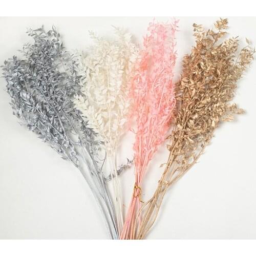 Natural Dried Flowers Fresh Preserved Eucalyptus Leaves,Eternal Display Dried Plant Flower Wedding Party Home Room Decoration