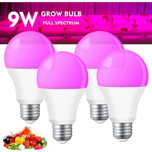 Arteco Plant Lamps