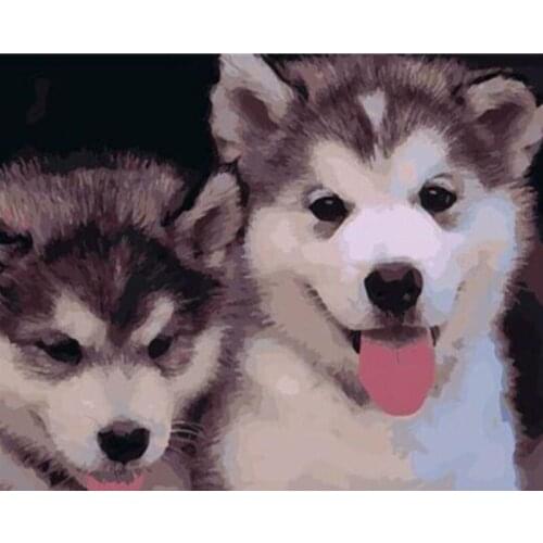 Painting By Numbers DIY Dropshipping 40x50 50x65cm Cute Two Huskies Animal Handmade For Living Room Wall Decor Oil Painting