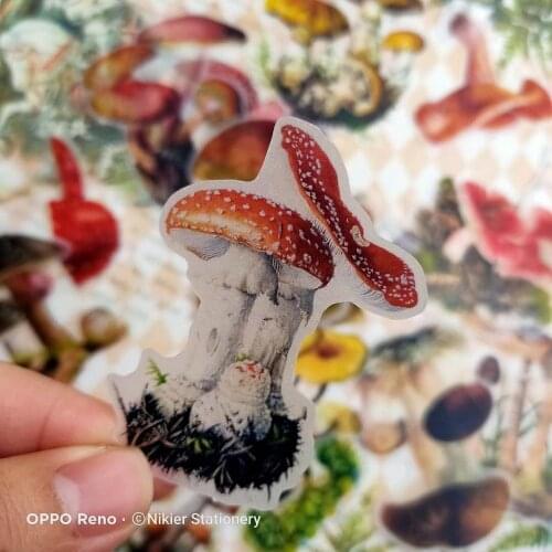 16 PCS Vintage Mushroom Illustrated Cute Fungus Deco Stickers TN Journal Diy Ablum Diary Scrapbooking Stickers Label Stationery