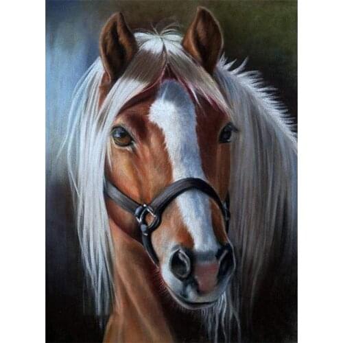 Animal Horse DIY 11CT Cross Stitch Embroidery Kits Craft Needlework Set Cotton Thread Printed Canvas Home Wholesale