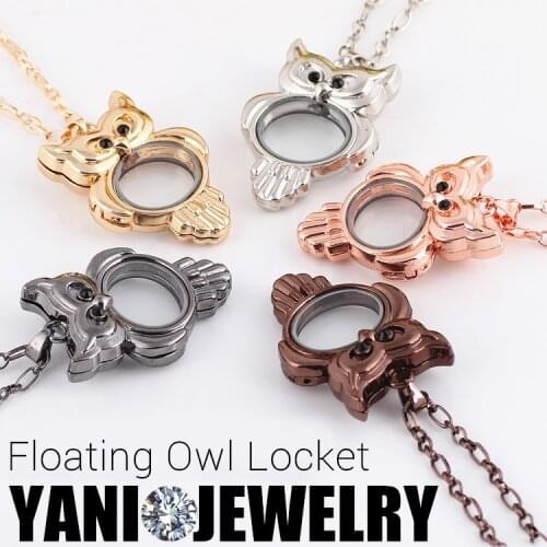 10pcs/lot New arrival 5 Colors Mix Owl Floating Locket Magnet Glass Living Memory Locket With Free Chains